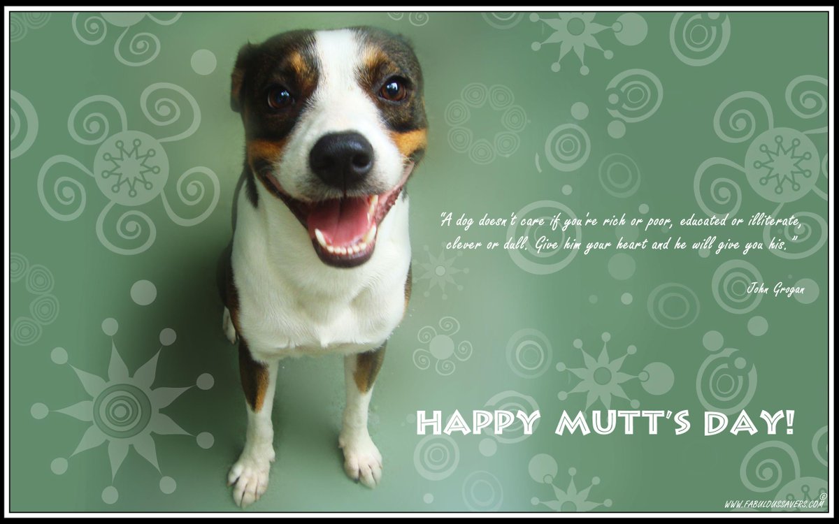 GuardianVet's tweet photo. Happy National Mutt Day!  Go out there and celebrate with all your furry friends.  http://t.co/BxdEyJ9GCM http://t.co/nvKuQhvp2L