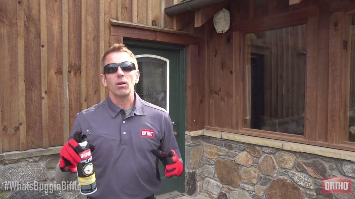 RFKracing's tweet photo. Retweet if you have a friend who tried to take out hornets and wasps by spraying and praying #WhatsBugginBiffle http://t.co/bYNcUCzLy8