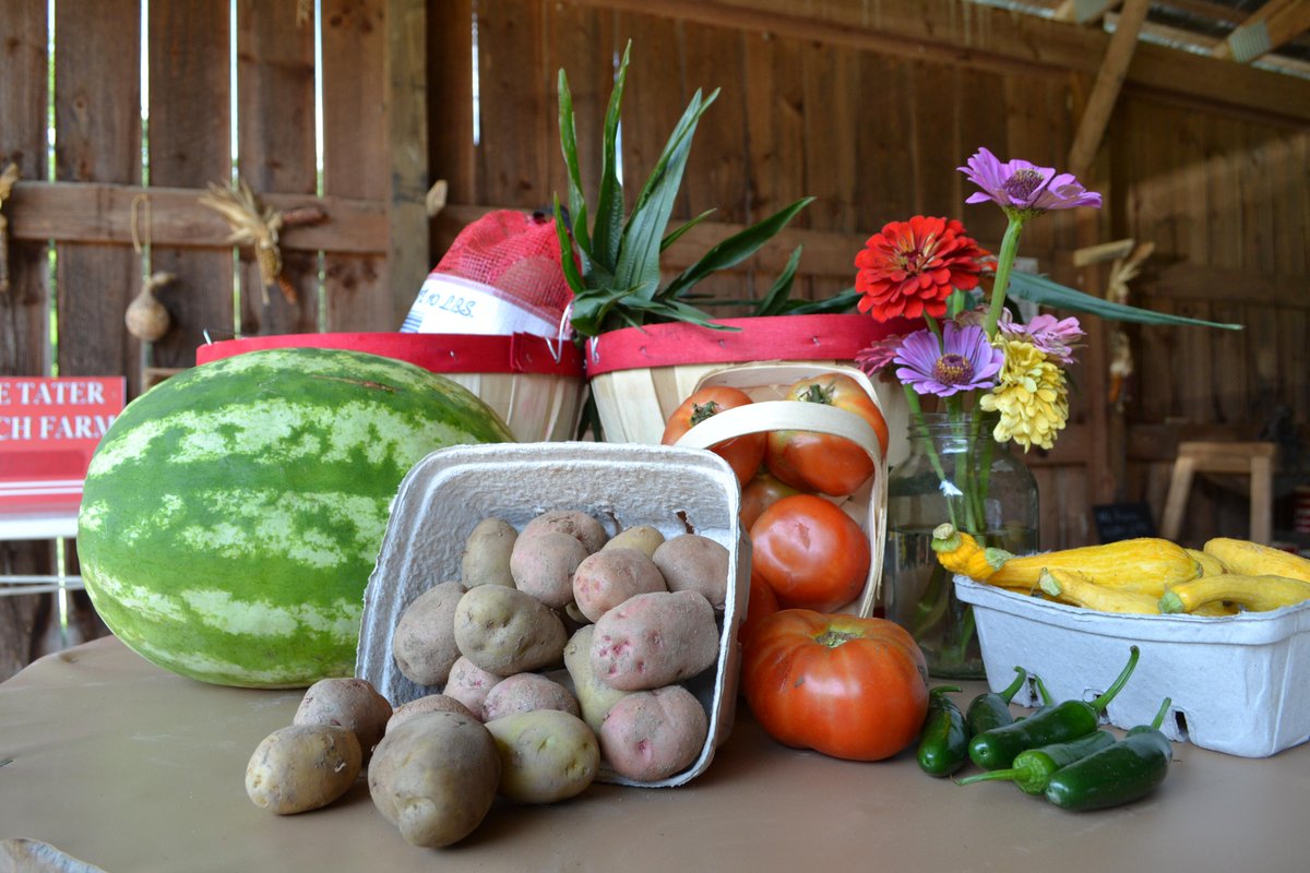 Best Places to get Taters and Maters in #ellijay wp.me/p5sBEo-XZ
#exploregeorgia #georgiagrown <a href="/Reeceorchards/">B.J. Reece Orchards</a>