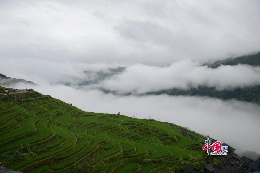 ChinaLive_NA's tweet photo. Scenery of Jiabang Terrace Fields in China's Guizhou http://t.co/hBRaivevqZ