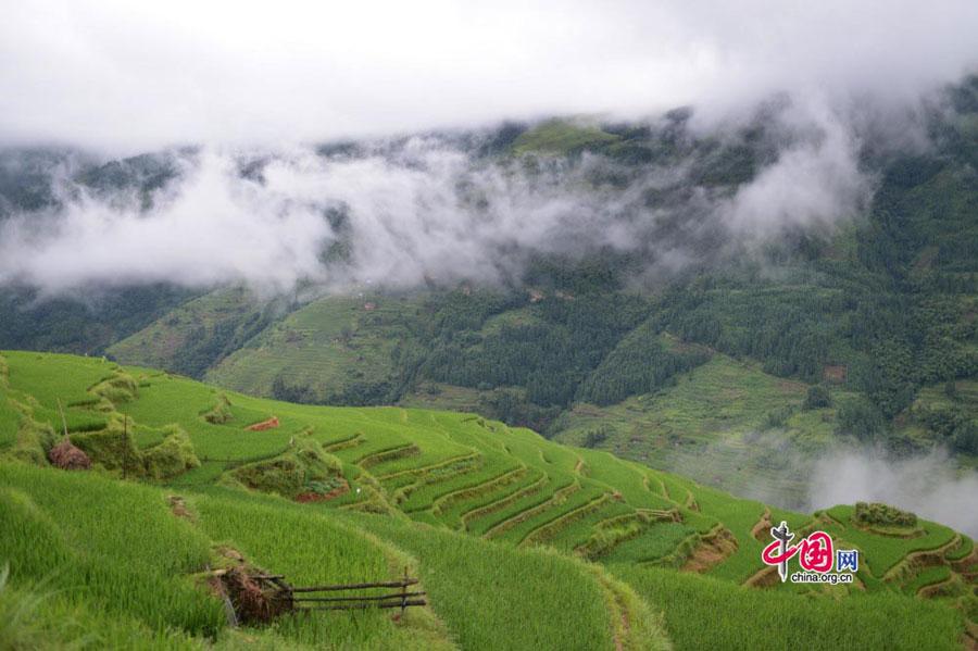 ChinaLive_NA's tweet photo. Scenery of Jiabang Terrace Fields in China's Guizhou http://t.co/hBRaivevqZ