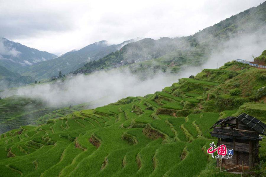ChinaLive_NA's tweet photo. Scenery of Jiabang Terrace Fields in China's Guizhou http://t.co/hBRaivevqZ