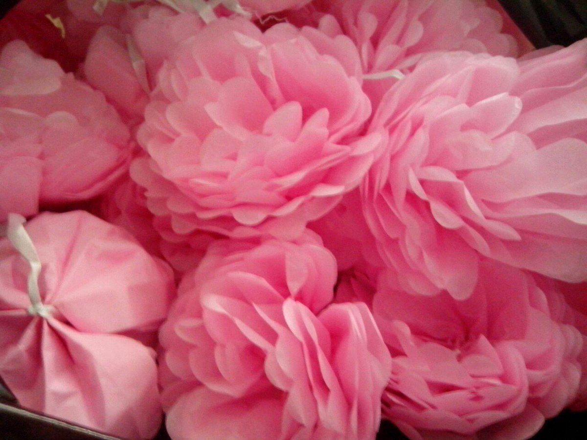 alepellerano's tweet photo. Comprando esta flor devuelves la sonrisa a una familia completa #ArboldelaEsperanza #ExodoPorUnaSonrisa http://t.co/nFIfrrUzUB