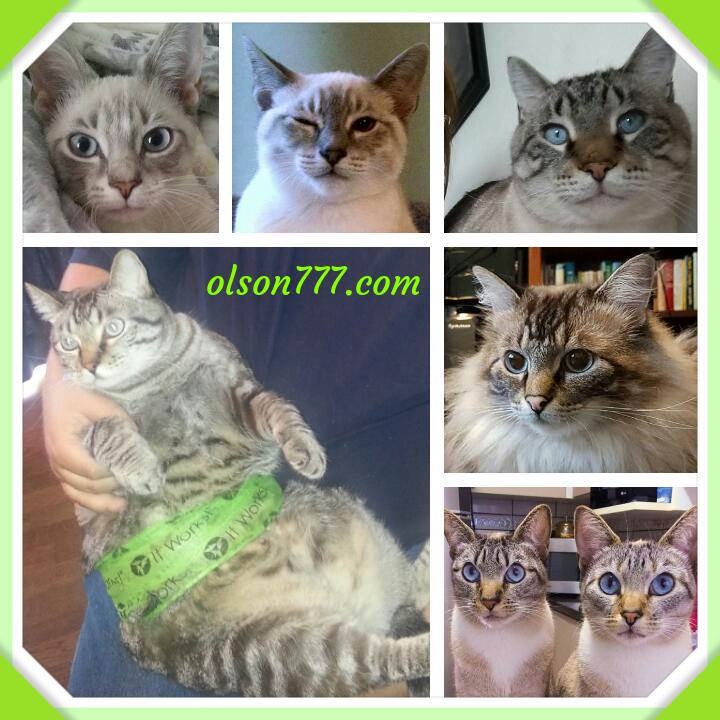 galuptious's tweet image. OMG! Jynxy invited his friends so he could wrap for free! Lol...