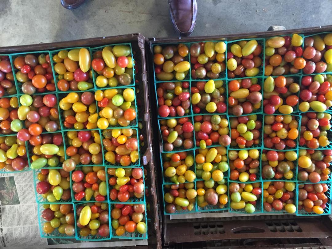 DavidWirebaugh's tweet image. myrandHyattsa #kentuckyheirloom #chefdavid