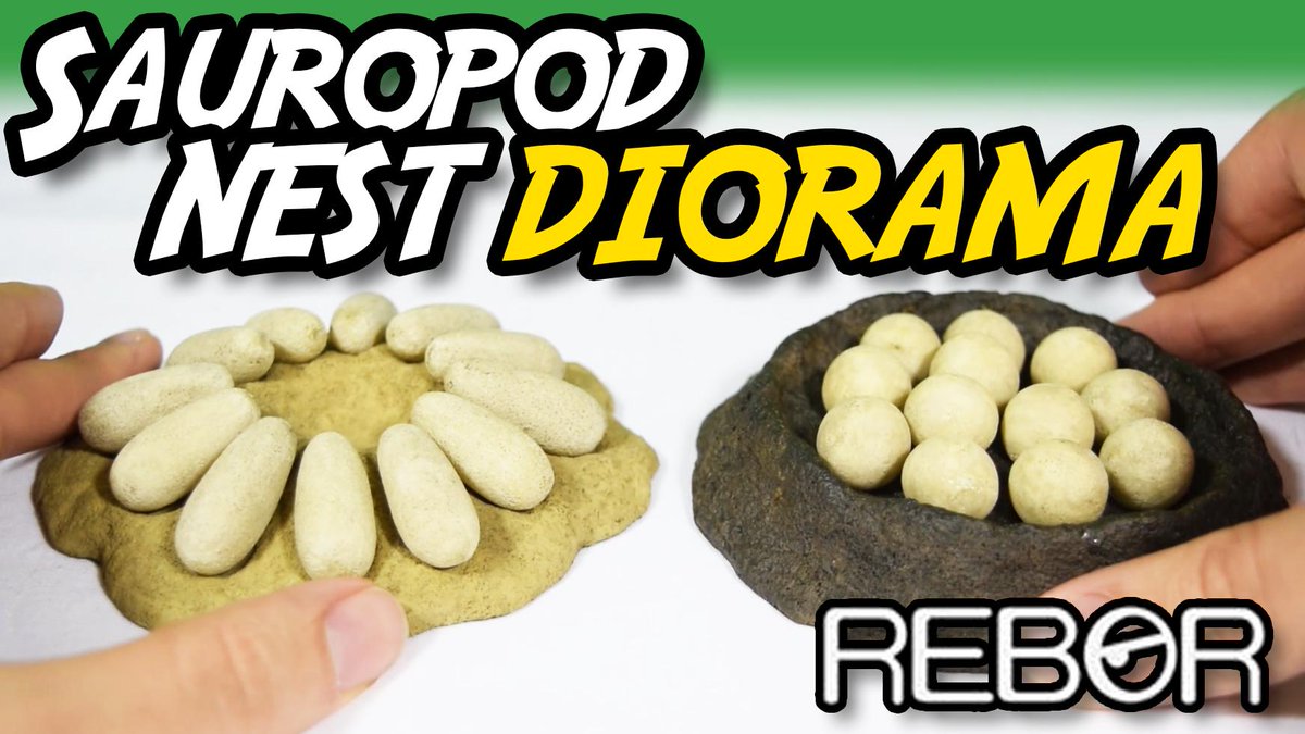 JurassicCollect's tweet photo. PART TWO - Sauropod nest in perfect miniature, a great ornament for your desk https://t.co/2W0a7cayNQ #reborstudio http://t.co/hsfq8Jxv5m