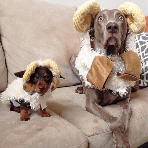 zPicture's tweet image. 