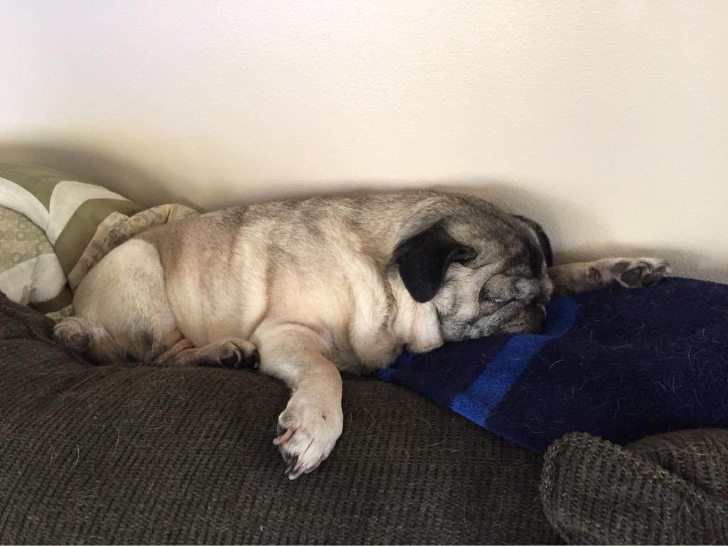 treefrog3869's tweet image. 