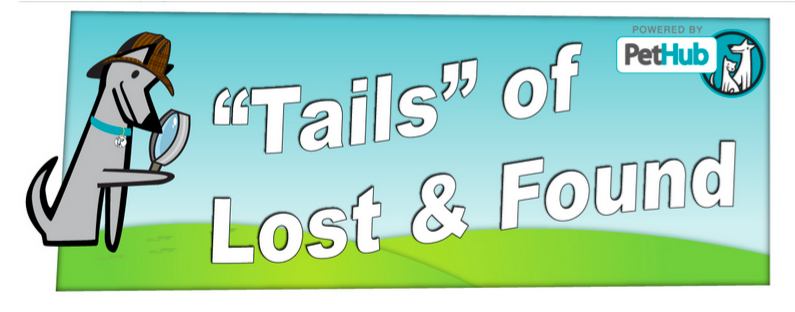 PetHub's tweet photo. Enter the "Tails" of Lost & Found contest chance to win $500 in pet products #PREVENTLOSTPETS http://t.co/SZhXL8Kkrd http://t.co/Qt32xkppD6