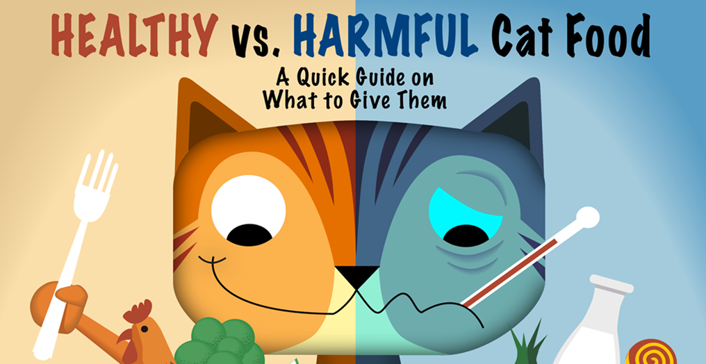 CityLeash's tweet photo. Download Our Healthy and Harmful Cat Food Guide at http://t.co/HyIWW2GpmE http://t.co/EcBeozFHdy