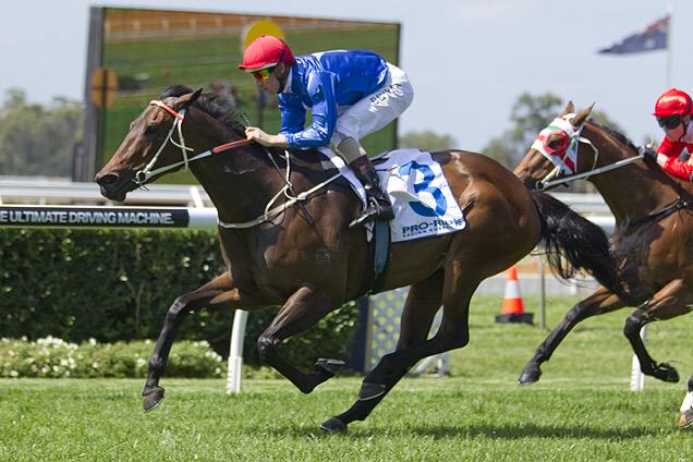 Leesracing's tweet photo. @atc_races @rosehillgardens #Artibai #ValidContract #TerraAmata #SentadeNoche #FineBubbles http://t.co/CmdkUxfy8G