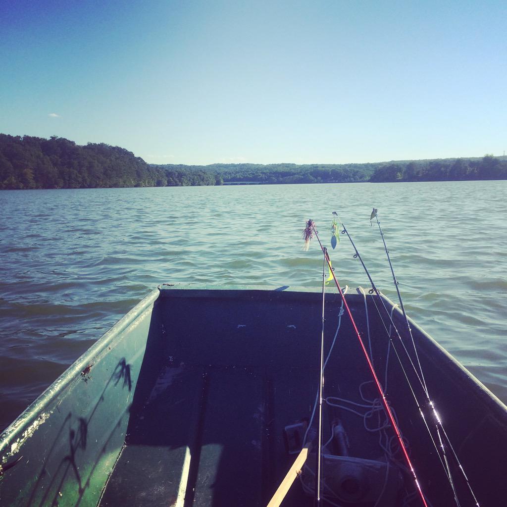 NomadFishCo tweet picture