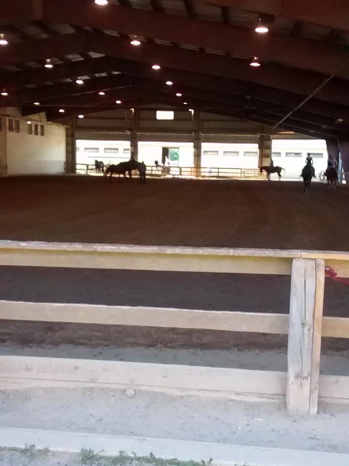 NewScotPhoto's tweet photo. Horses are arriving @Sussex PLP #mqha summer sizzler#Equestrian Photography#horses http://t.co/ql5M44mt3C