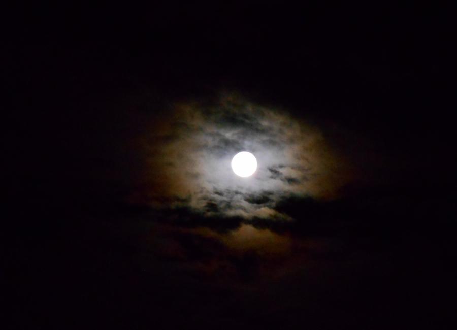 Blue Moon - Full Moon over Youghal Harbour tonight -
 Simply Celestial!
@failteireland <a href="/AncientEastEire/">Ireland'sAncientEast</a> @RingofCork
