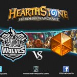 Photo by Wolves eSports Club (@WolveSports)