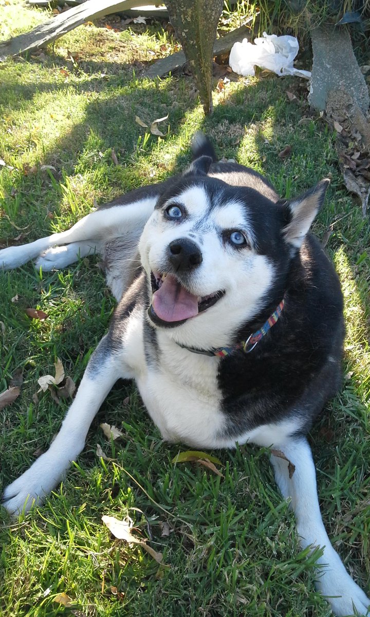 Cristina López tweet media