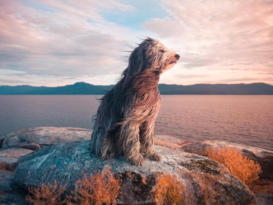 500px's tweet photo. Happy weekend! Photo by Lizzy Gadd: https://t.co/uRiLtGwG9l #cute http://t.co/Bm7U3FGMcj