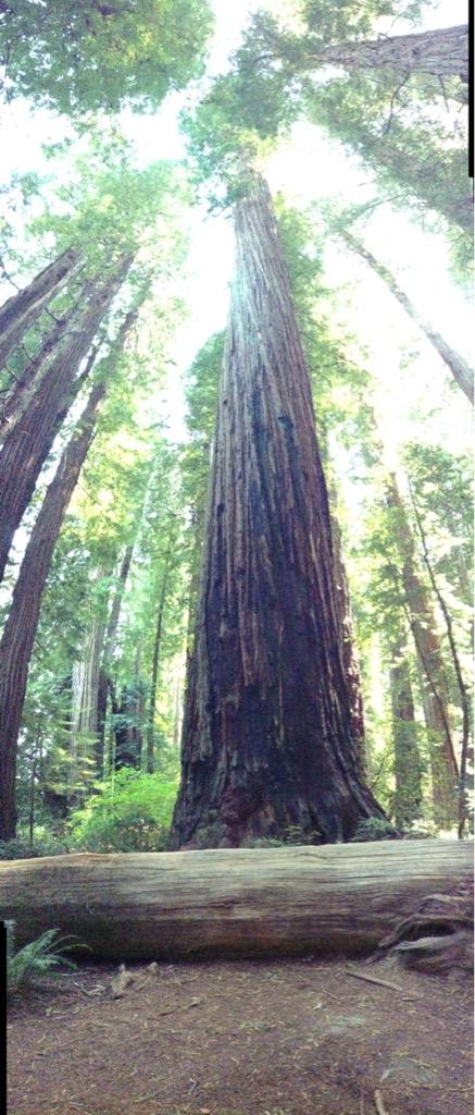 BeneschZach's tweet photo. Oregon has been so sick http://t.co/Kn1uO9Y0gU