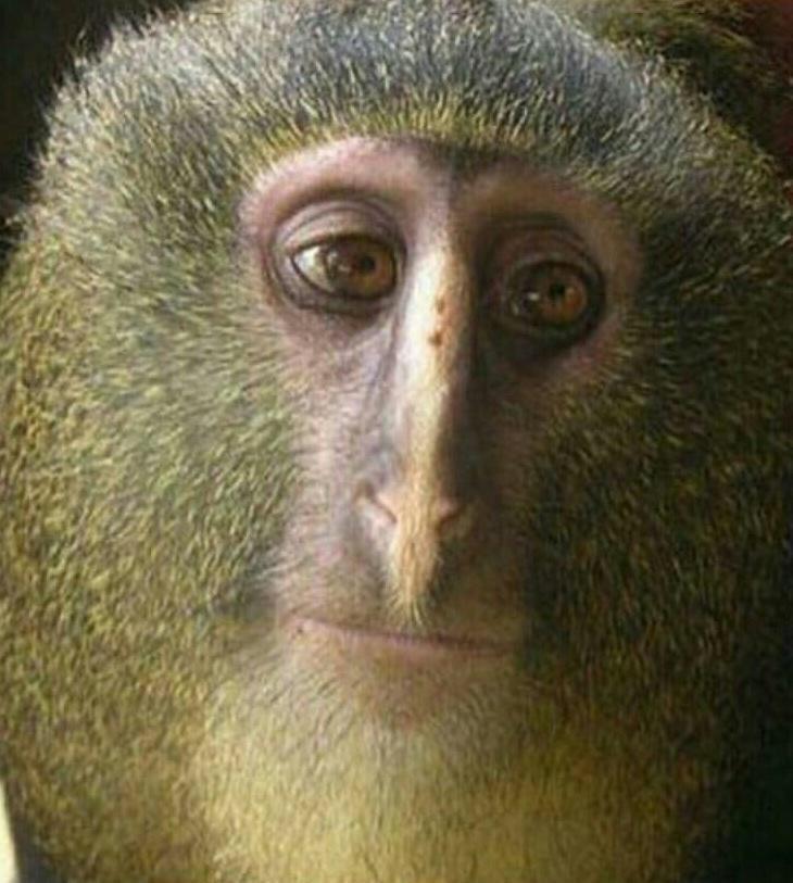 kpoplooks's tweet photo. Blacknut and this animal http://t.co/2EJDEDm2jt
