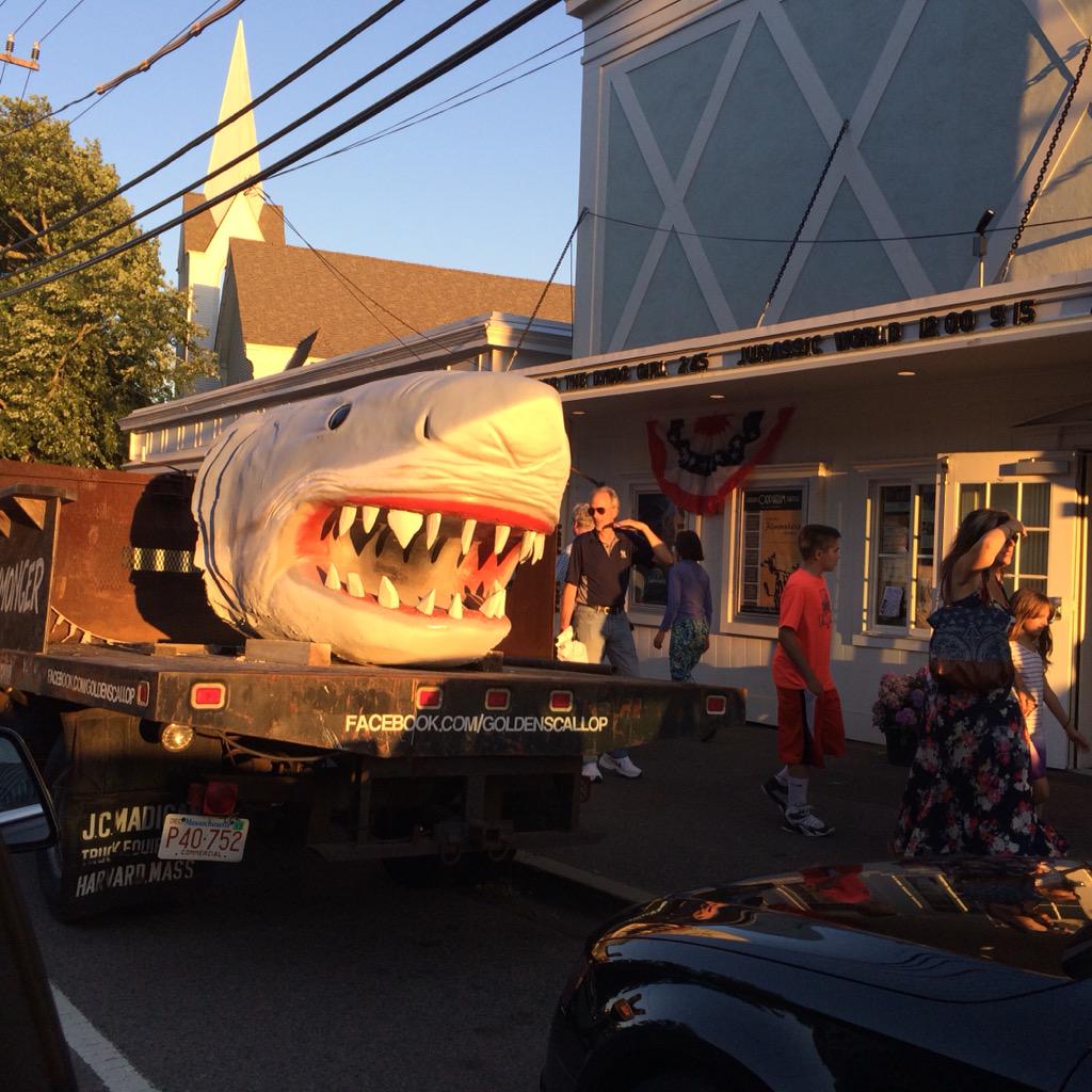 EmpressOfThePit's tweet image. #everyweekissharkweek