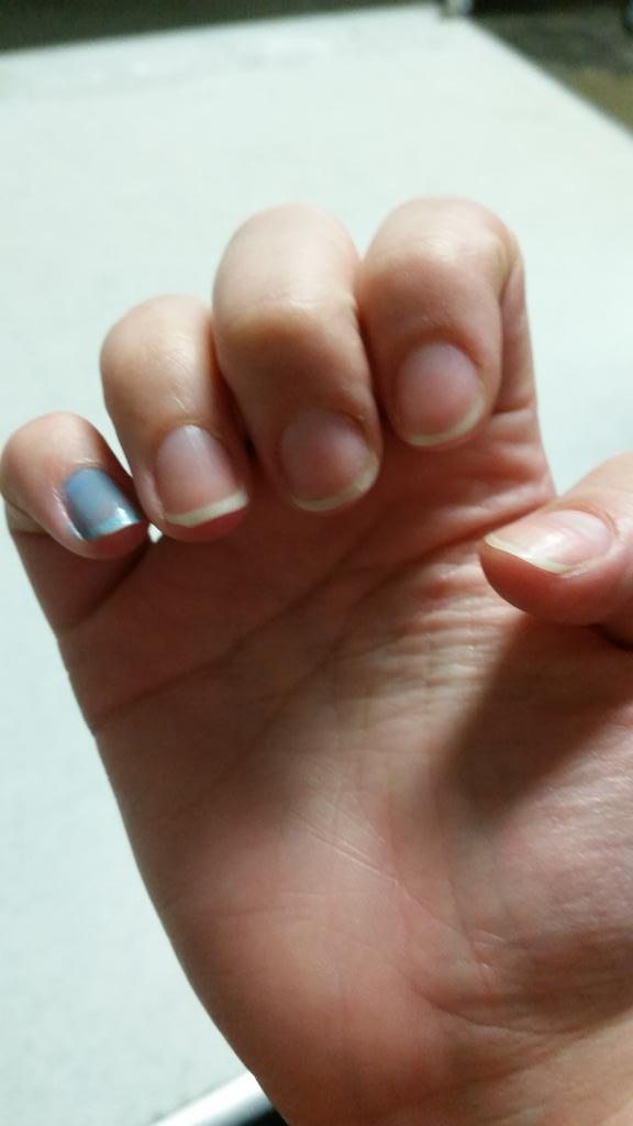 Splissa's tweet image. I'm not prepared... #gishwhes #gishwhes2015 #goodbyesleep