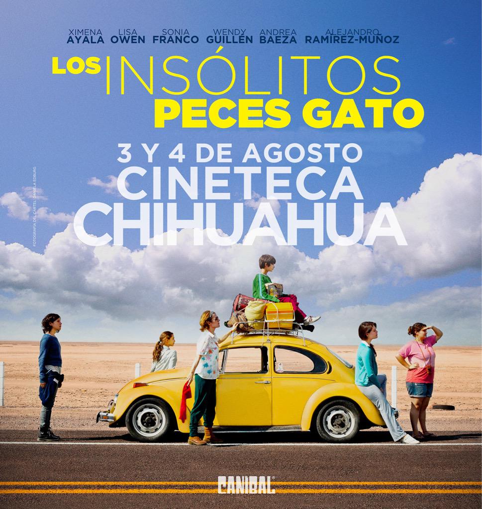cineCANIBAL's tweet photo. En la #CinetecaChihuahua estrenamos las películas mexicanas Los insólitos @PecesGato y #GonzalezFalsosProfetas http://t.co/l2GieDwx8U