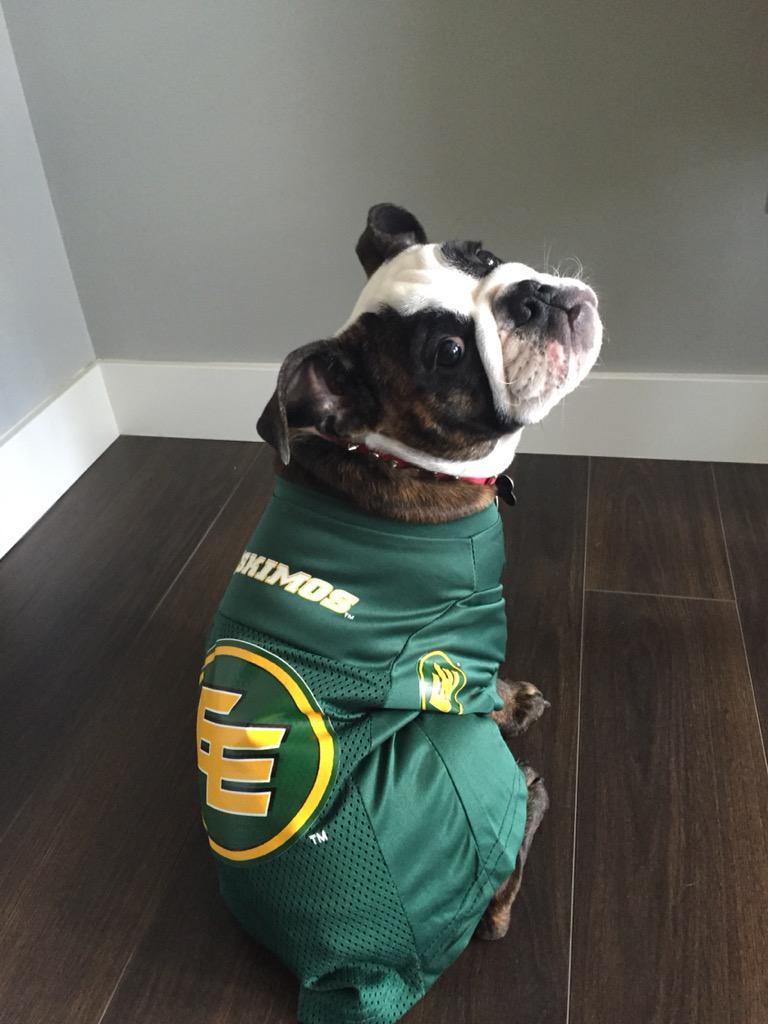 jenellebrem's tweet photo. @EdmontonEsks Let's go Eskimos! #1 fan! #Esks #CFL http://t.co/gEAYcVLeW4