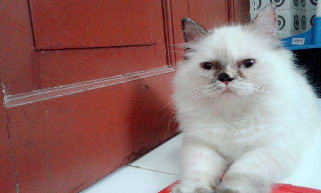 EK_Lebuu's tweet photo. Selamat pagi nomnom :* http://t.co/to6fsobhlE