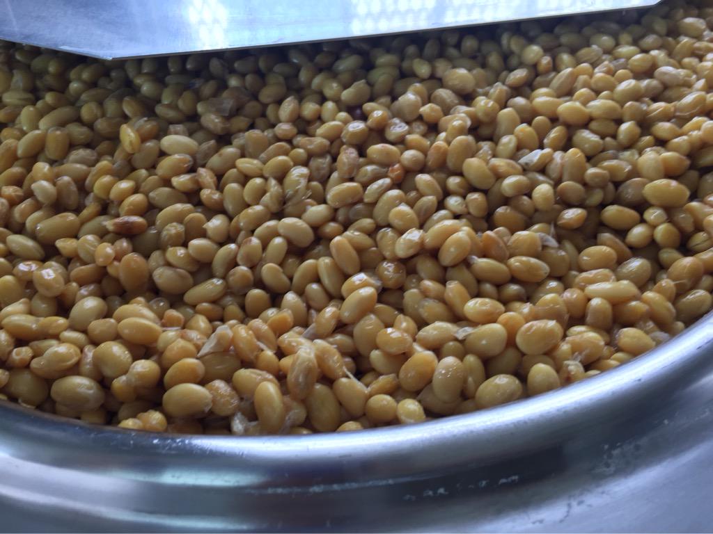 BBGoodbeans's tweet image. New fresh weekly batch of BB Goodbeans !