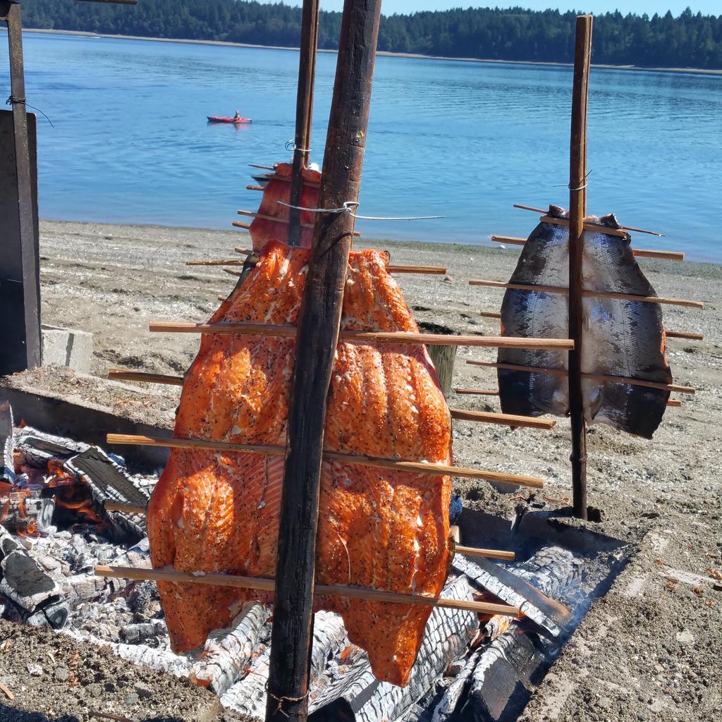 Chetwoot74's tweet image. Beautiful day at the Squaxin Island Tribes First Salmon Ceremony. #squaxin #firstsalmon