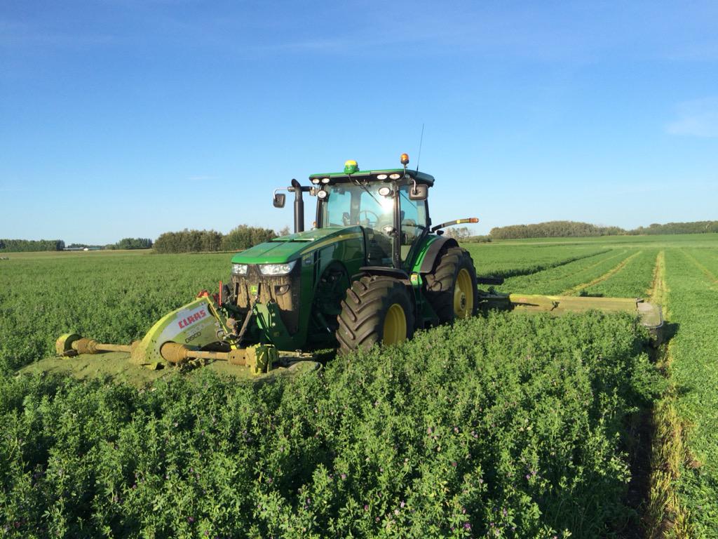 saskdairy's tweet photo. Making hay doesn't get more fun than this, with @JohnDeere and @CLAAS_America #farm365 #feedthosecows #SaskAg http://t.co/D5hXyUPvnG