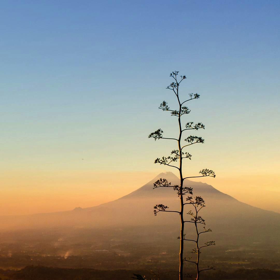 arifhida92's tweet photo. "@Jogja24Jam: Merapi kapanpun pasti selalu terlihat gagah. foto ig: yosafatyeka http://t.co/X1un3t4k4Q"