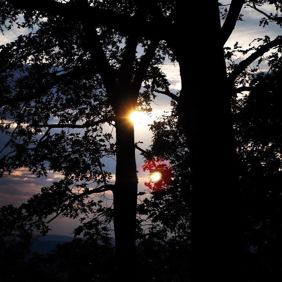 Chao Yan (@chao00yan) on Twitter photo 