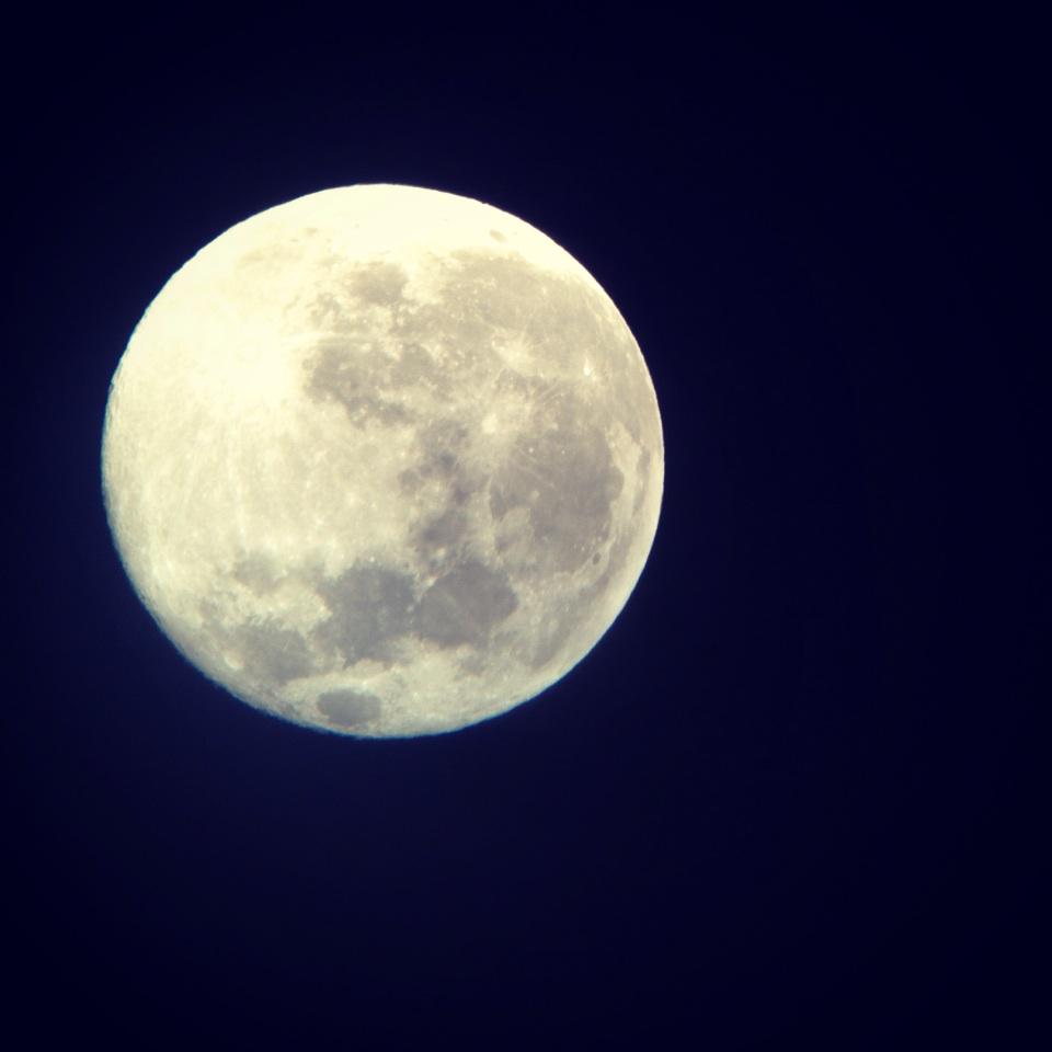 5Forgeys's tweet image. #bluemoon