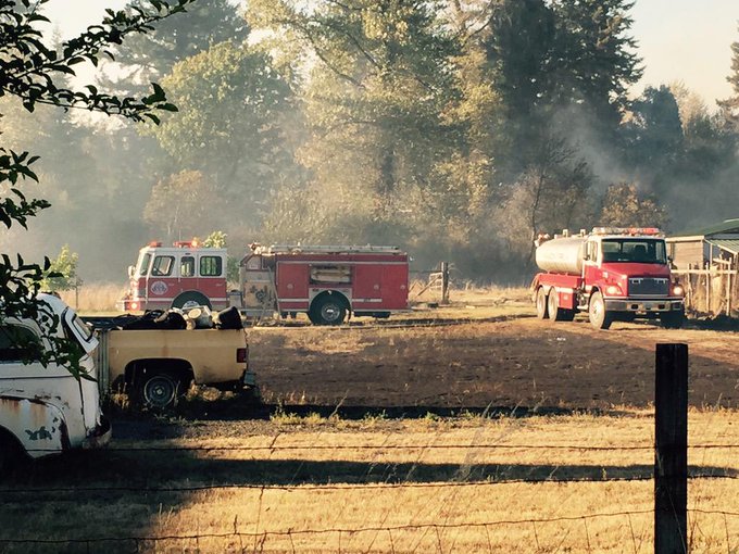 View image on Twitter View image on Twitter