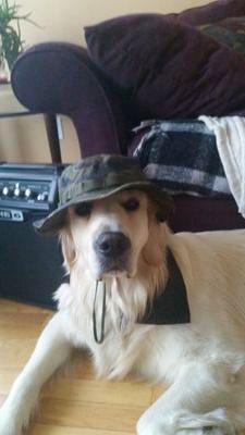 ChurchofState's tweet image. 