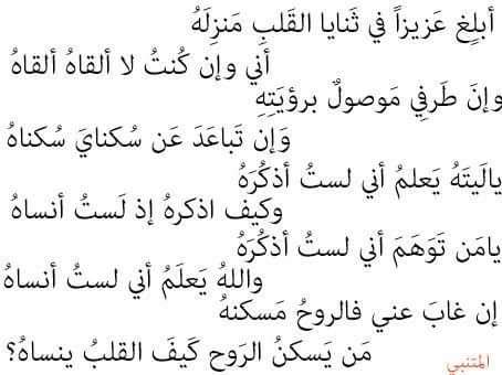 mutassim tweet media