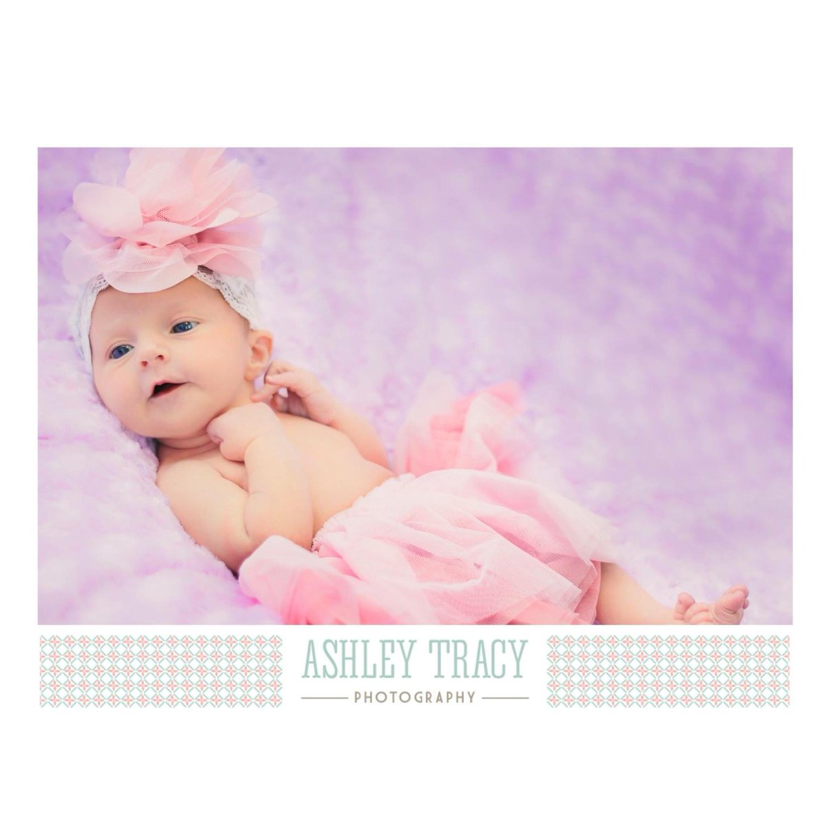 AshleyTPhoto's tweet photo. Meet Loee 💜. // Only 7 days old, but already so curious. // #ashleytracyphotography #newbornsession #cutie #baby http://t.co/A2bT2v2q2f