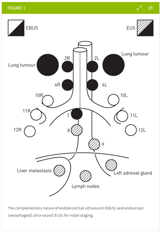 ERS publications tweet media