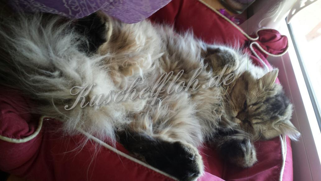 Wir wünschen allen, ein erholsames #Wochenende. 💜