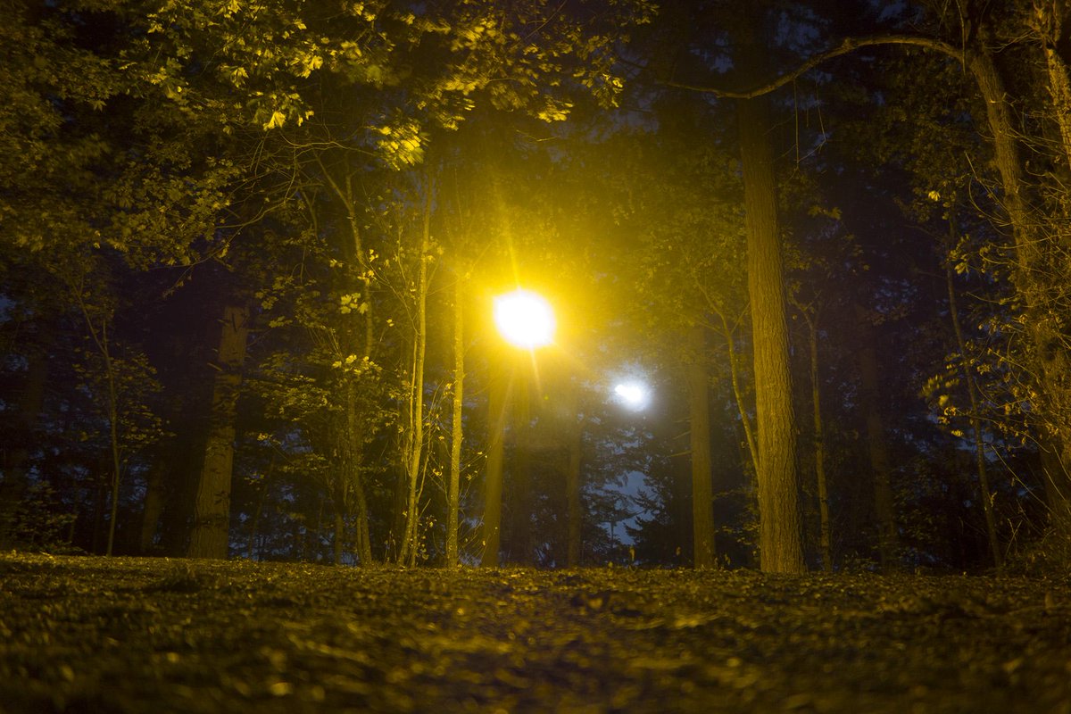 corwinlevi's tweet photo. #bluemoon, #goldenglow. #pdx http://t.co/kFaiVwkDWp