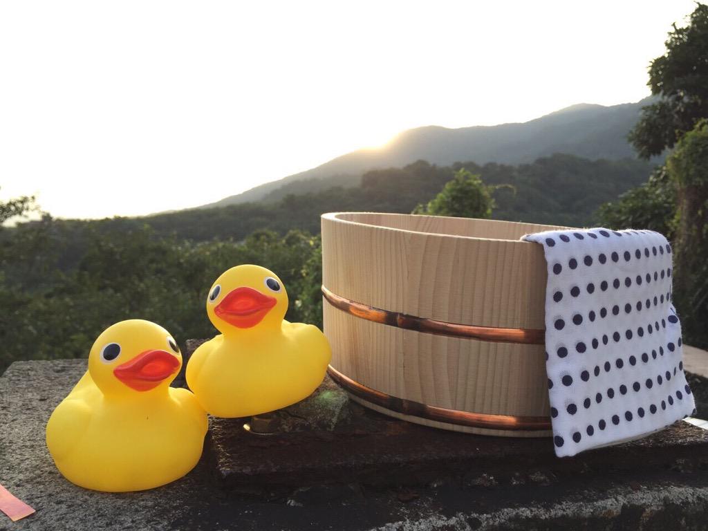 Litomath's tweet photo. こんにちはー！
明日は所さんの目がテン！「夏の海外特集第2弾 温泉の科学」が放送されます(^O^)
台湾の魅力がたくさん詰まっています！
私もロケのお手伝いに行きました！
お時間のある人はぜひ見てください*\(^o^)/*

こころ http://t.co/fJFYjPmqUW