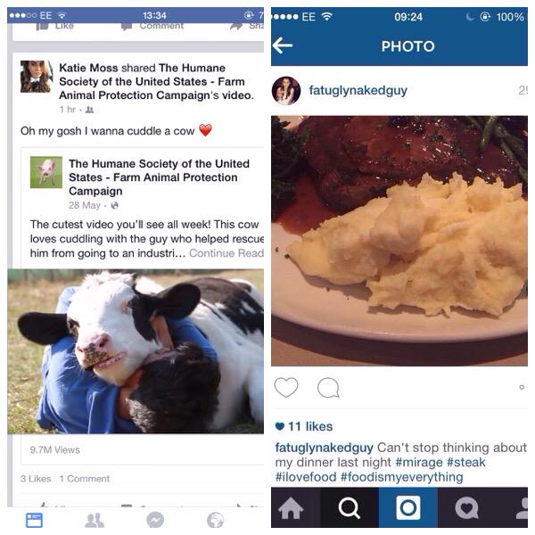 StatusTranslate's tweet image. "Guys look how much I love animals! I love them so much I want them served with mash potato!" #Translated #Hypocrite