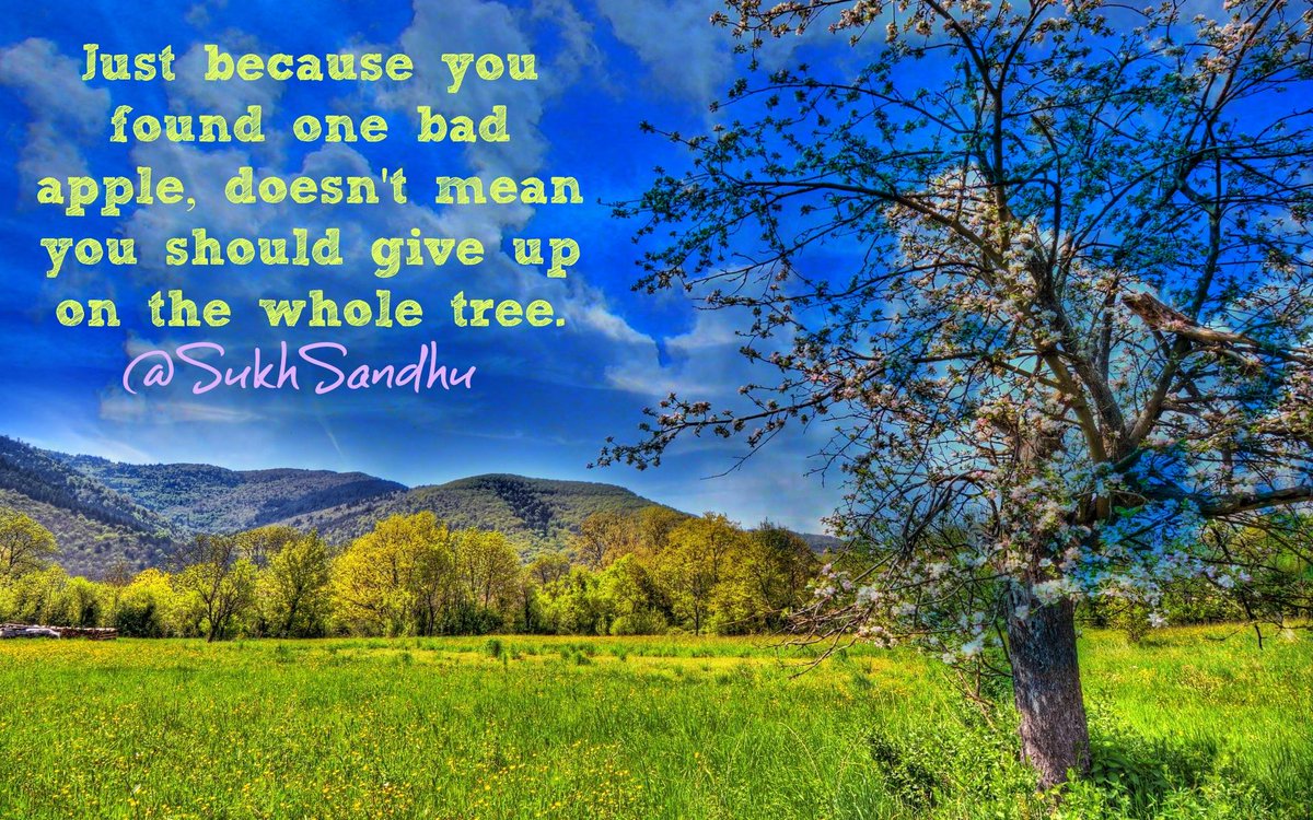 How to Grow a Liberty Apple Tree - Mehrabyan Nursery, image size:1200x750