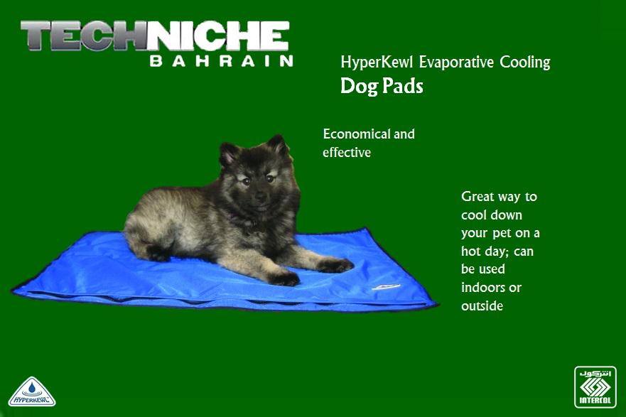 Intercoltech's tweet image. Keep your dogs cool
#HyperKewl #HeatStress #Dog #Bahrain
 For more information, call Intercol on 0097338446666