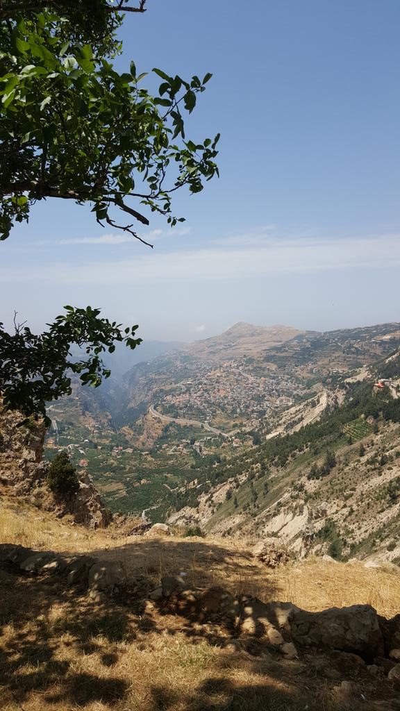 elissakh's tweet photo. paradise on earth #cedars #Lebanon http://t.co/dfVZSf13ZE