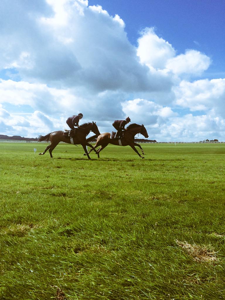 curraghrace's tweet photo. RT @JohnnyMurtagh: Beautiful ground this morning on @curraghrace #GrassGallops great shots by Lauren http://t.co/vyTfrG9LJX