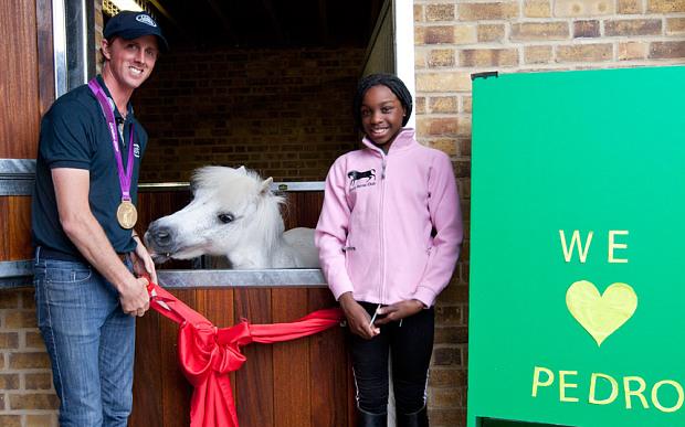PegasusHealth's tweet photo. Shetland pony can finally see outside with tiny stable door after YouTube video goes viral: http://t.co/RTb04dh1XW http://t.co/qm2Lq1P3pn