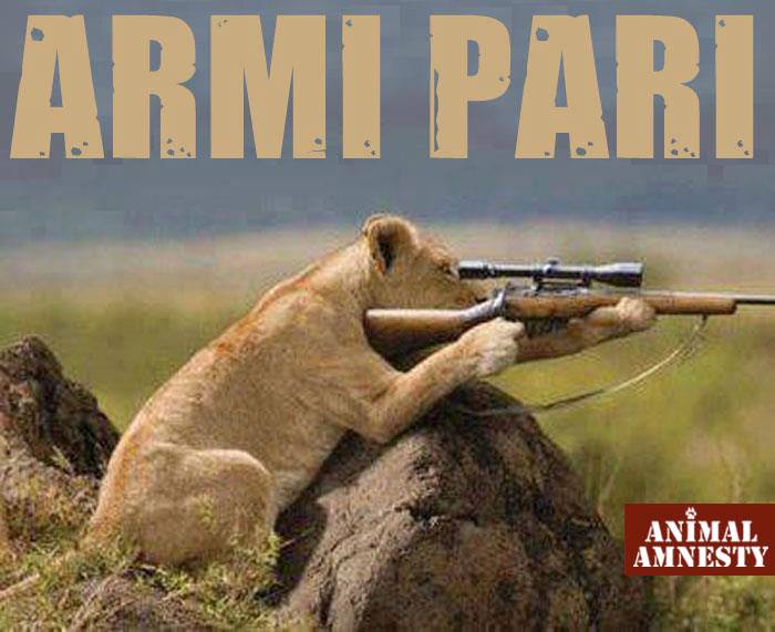 AnimalAmnesty's tweet photo. La #caccia non è uno #sport. In uno sport entrambi i contendenti sanno di giocare.
#animali #CecilTheLion #Cecil http://t.co/bOpey7KOUW