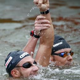 Collegamento permanente dell'immagine integrata